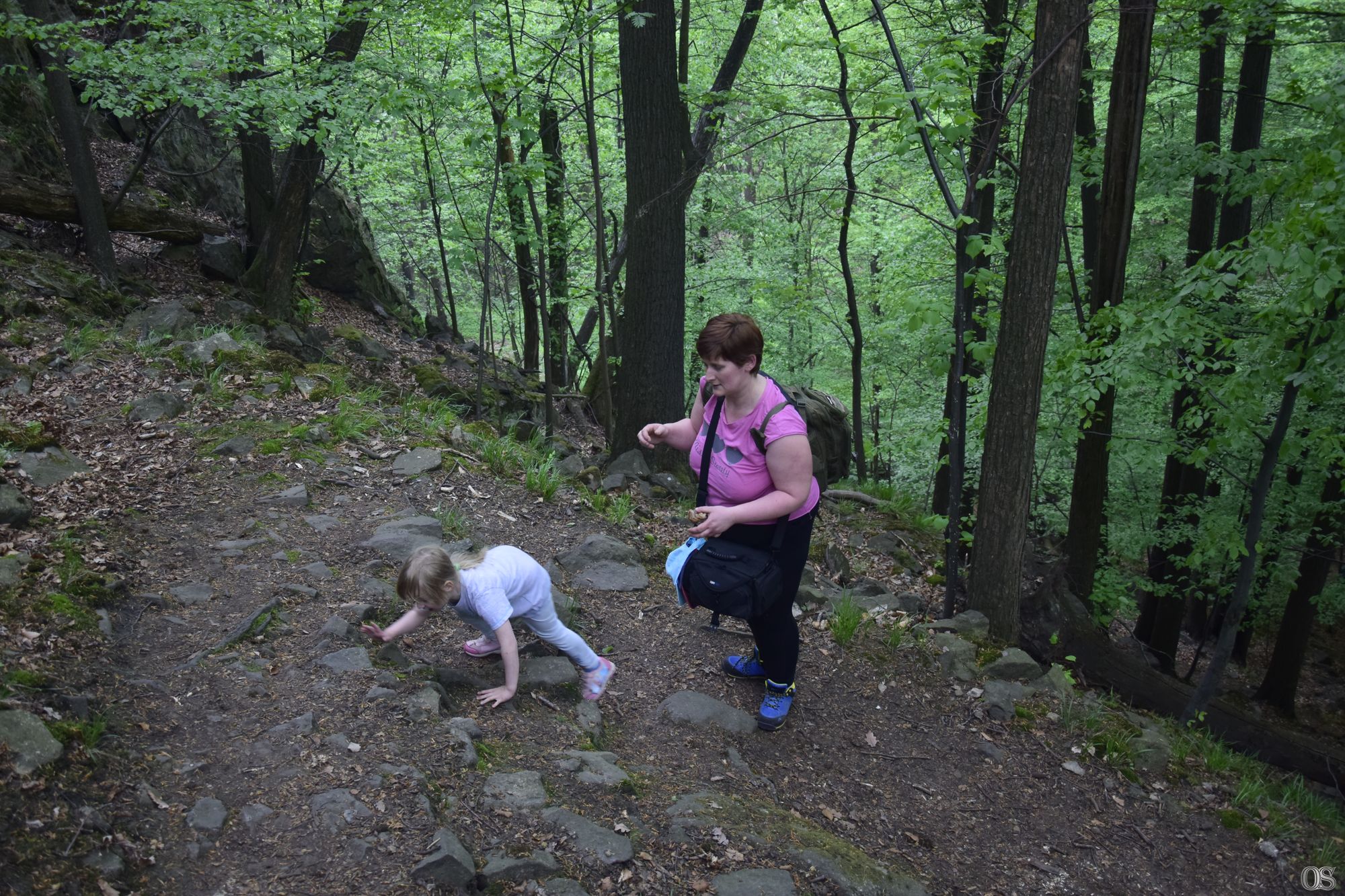 Sciezka Hochbergow 46.jpg